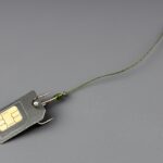 sim card or Esim